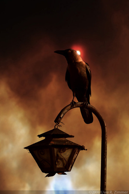 The Blind Raven